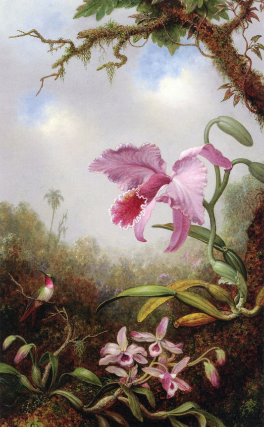 Hummingbird and Two Types of Orchids, vintage artwork by Martin Johnson Heade, A3 (16x12") Poster Print