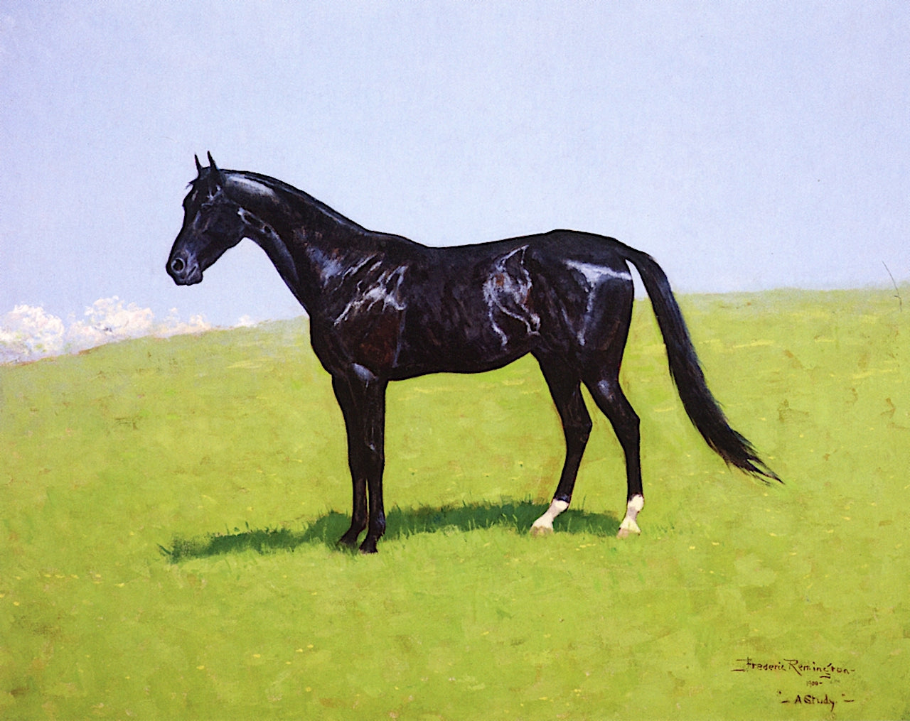 'Bellini' - A Study by Frederic Remington,A3(16x12")Poster