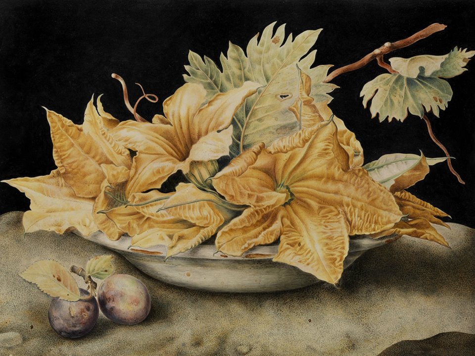 Still life with pumpkin flowers and vine leaves, vintage artwork by Giovanna Garzoni, 12x8" (A4) Poster