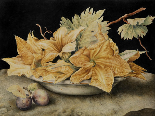 Still life with pumpkin flowers and vine leaves, vintage artwork by Giovanna Garzoni, 12x8" (A4) Poster