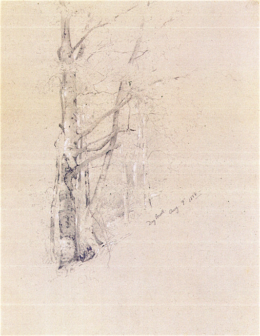 Dry Brook, vintage artwork by Jervis McEntee, 12x8" (A4) Poster