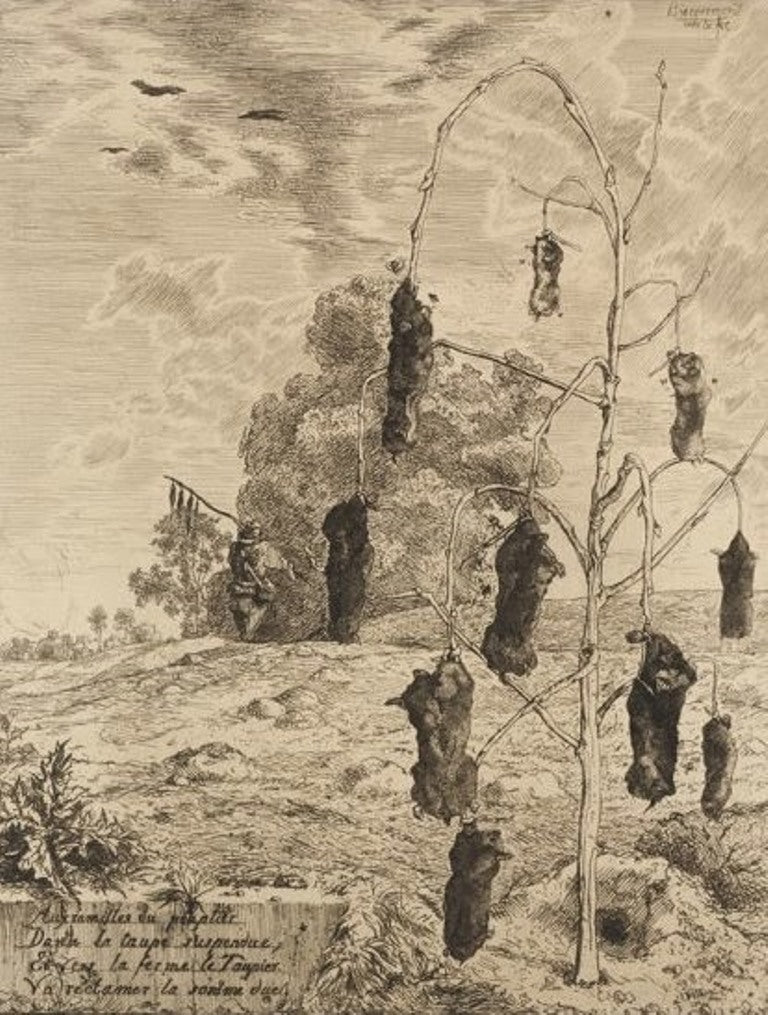 The Moles, vintage artwork by Felix Bracquemond, 12x8" (A4) Poster