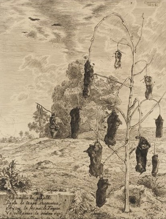 The Moles, vintage artwork by Felix Bracquemond, 12x8" (A4) Poster