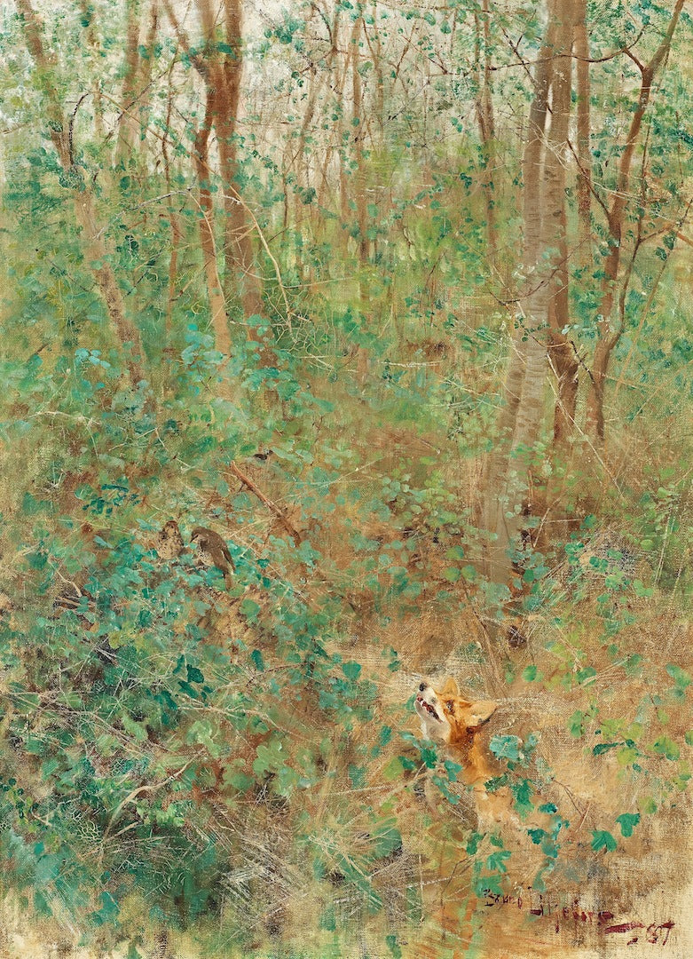 Fox Looking at Birds, vintage artwork by Bruno Liljefors, 12x8" (A4) Poster