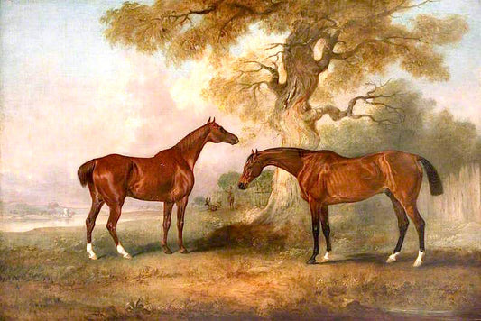 Chestnut Racehorses Called 'Rufus' and 'Leporello', vintage artwork by John Ferneley, Jr, A3 (16x12") Poster Print