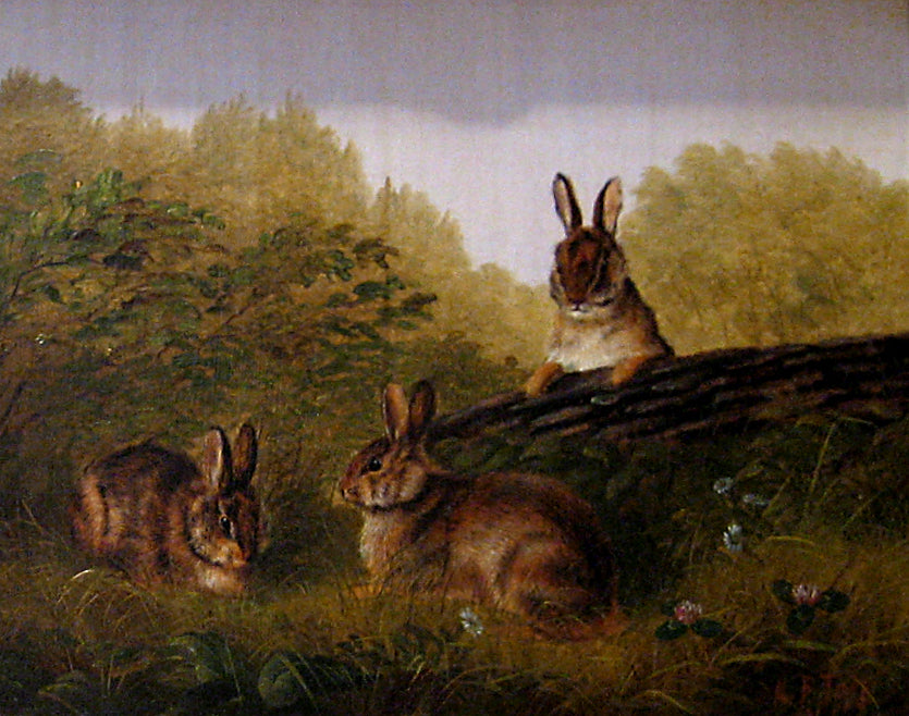 Rabbits on a Log, vintage artwork by Arthur Fitzwilliam Tait, A3 (16x12") Poster Print