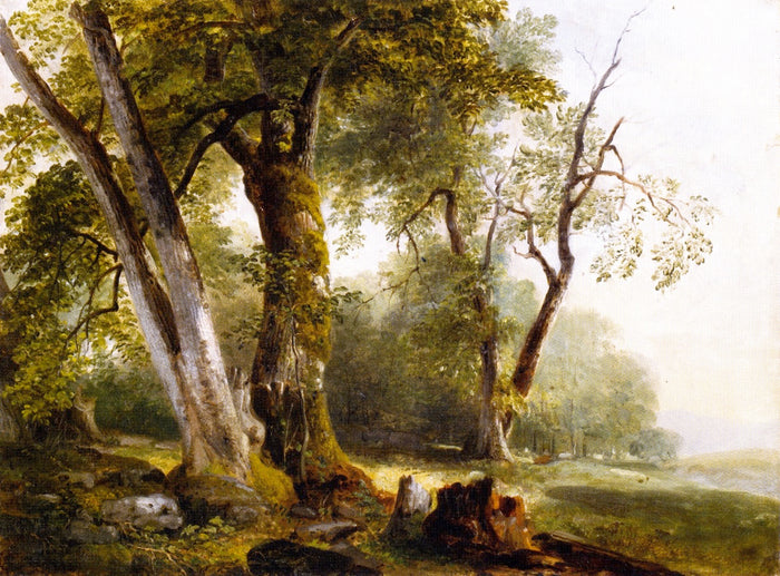 Landscape with Beach Trees, vintage artwork by Asher Brown Durand, A3 (16x12