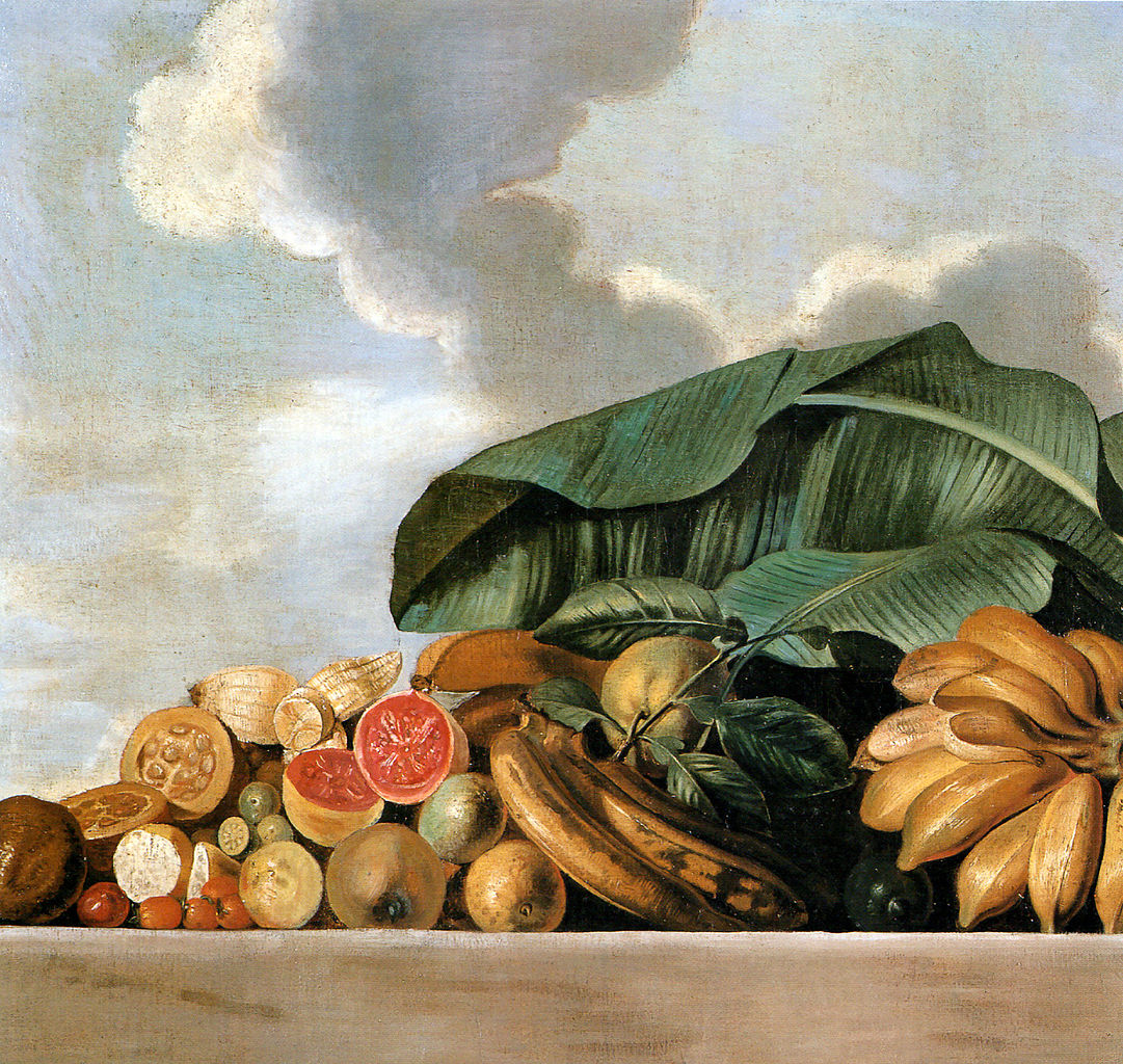 Bananas, guavas and other fruit, vintage artwork by Albert Eckhout, 12x8" (A4) Poster