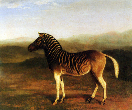 A Male Quagga from Africa, vintage artwork by Jacques-Laurent Agasse, 12x8" (A4) Poster