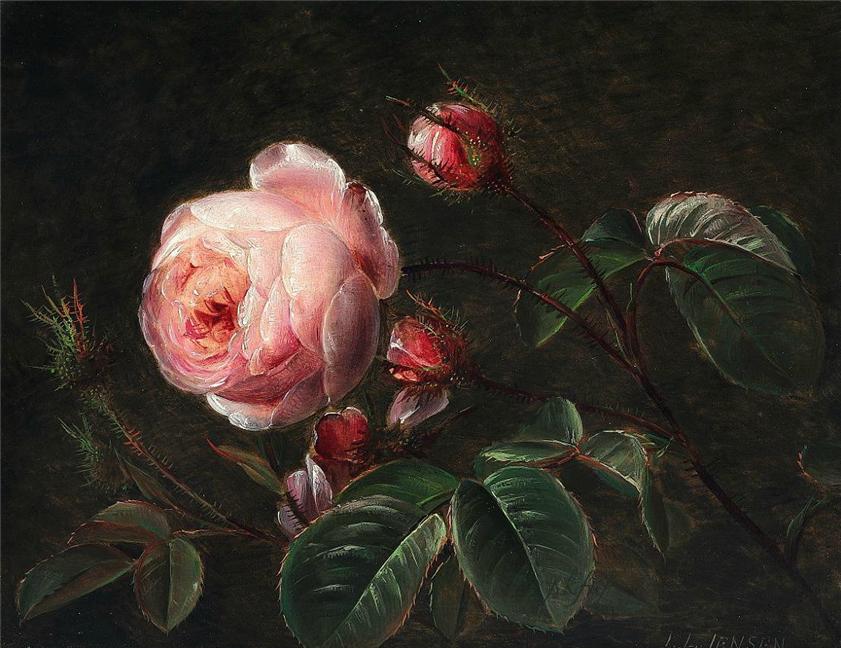 Branches of pink roses, vintage artwork by Johan Laurentz (J.L.) Jensen, A3 (16x12") Poster Print