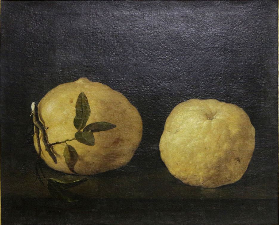 Two Lemons, vintage artwork by Filippo Napoletano, 12x8" (A4) Poster