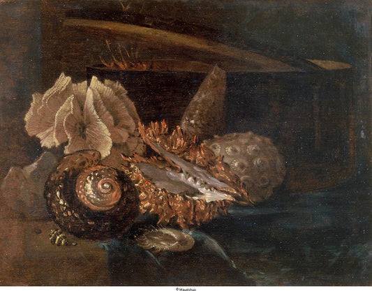 Still Life:  Shell and Coral, vintage artwork by Willem Kalf, 12x8" (A4) Poster