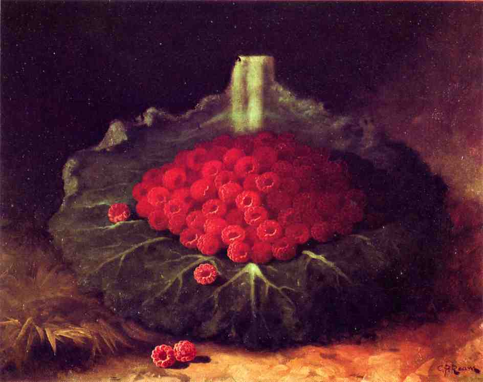 Raspberries, vintage artwork by Carducius Plantagenet Ream, 12x8" (A4) Poster