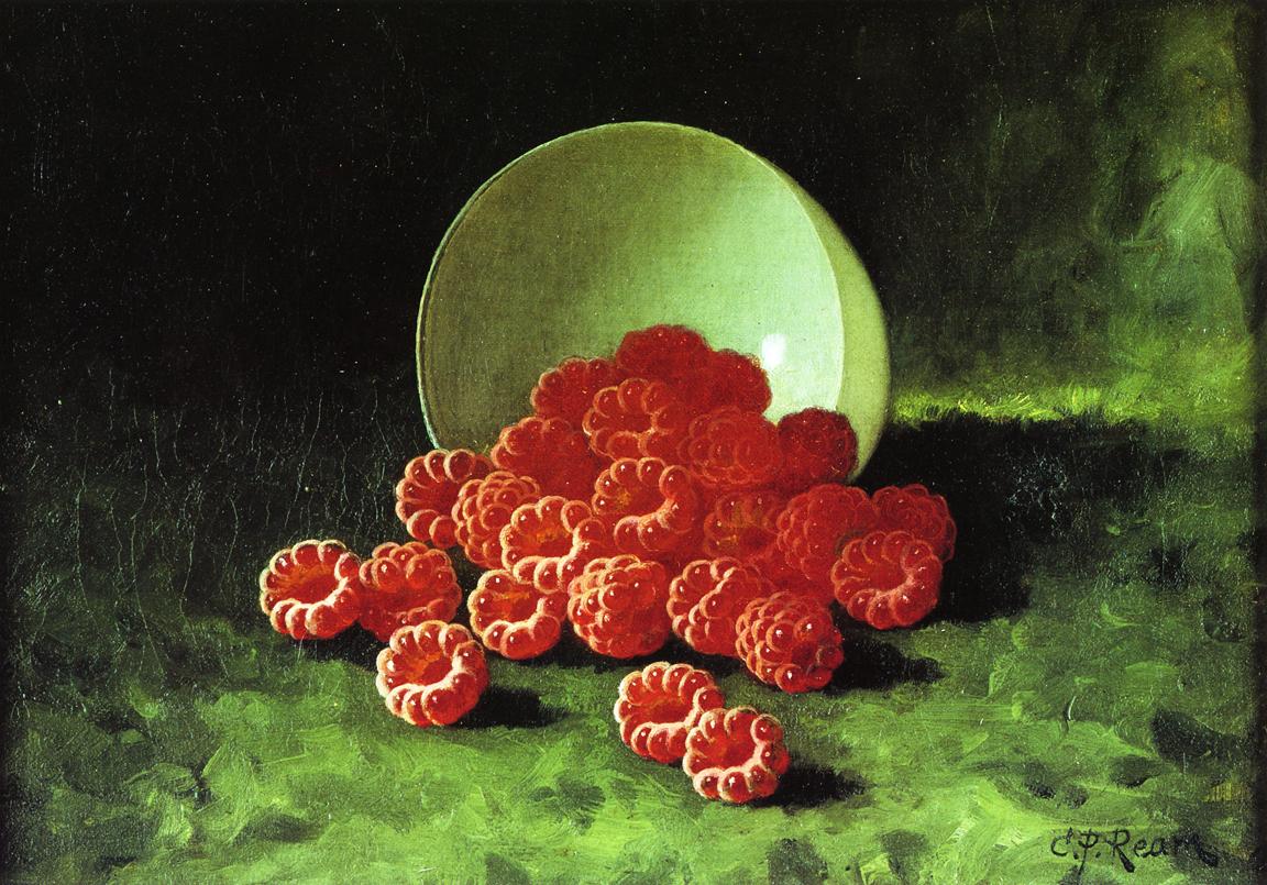Still Life: Overturned Cup on Raspberries, vintage artwork by Carducius Plantagenet Ream, 12x8" (A4) Poster