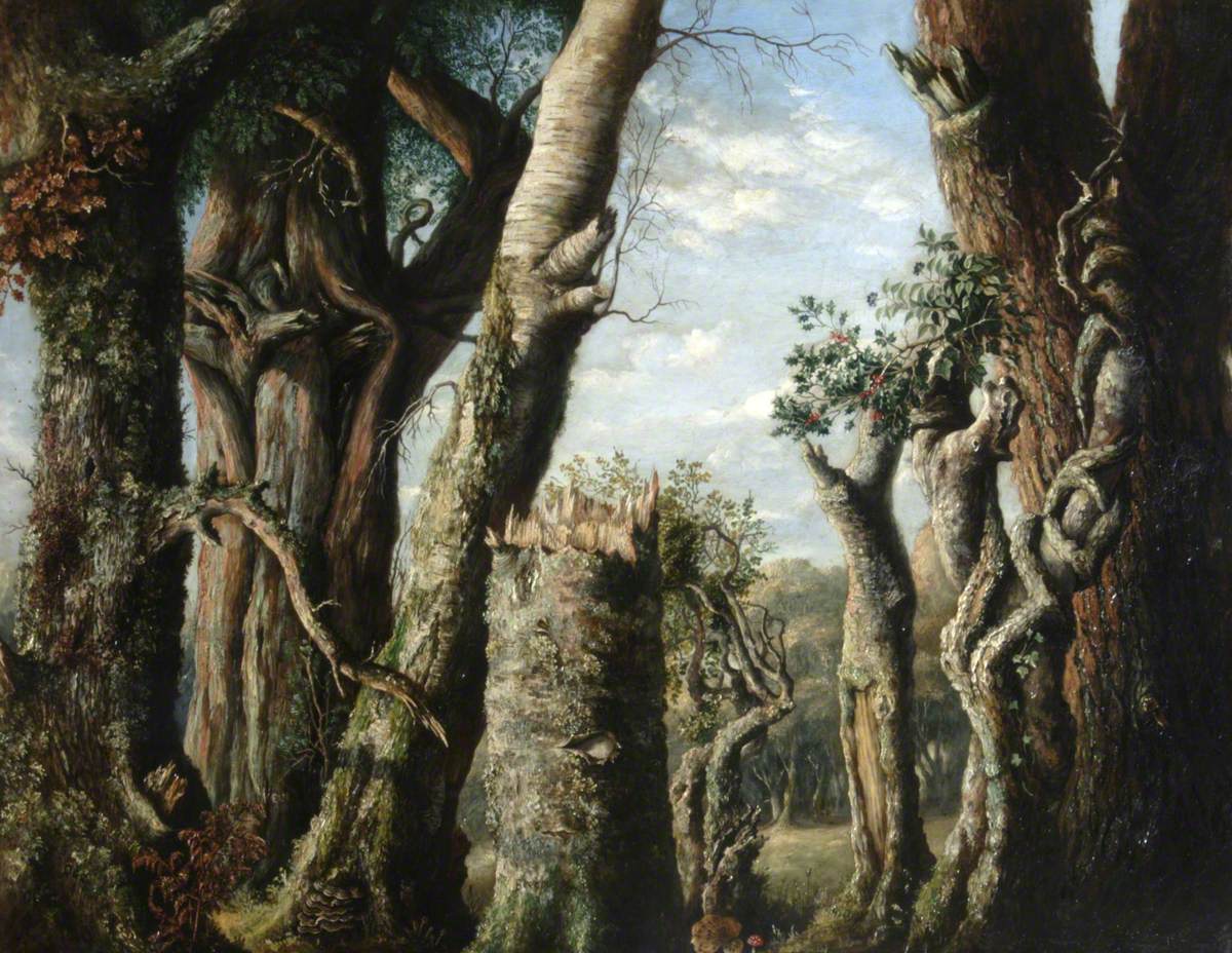 Oak, Holly and Other Trees, vintage artwork by Albert Durer Lucas, 12x8" (A4) Poster