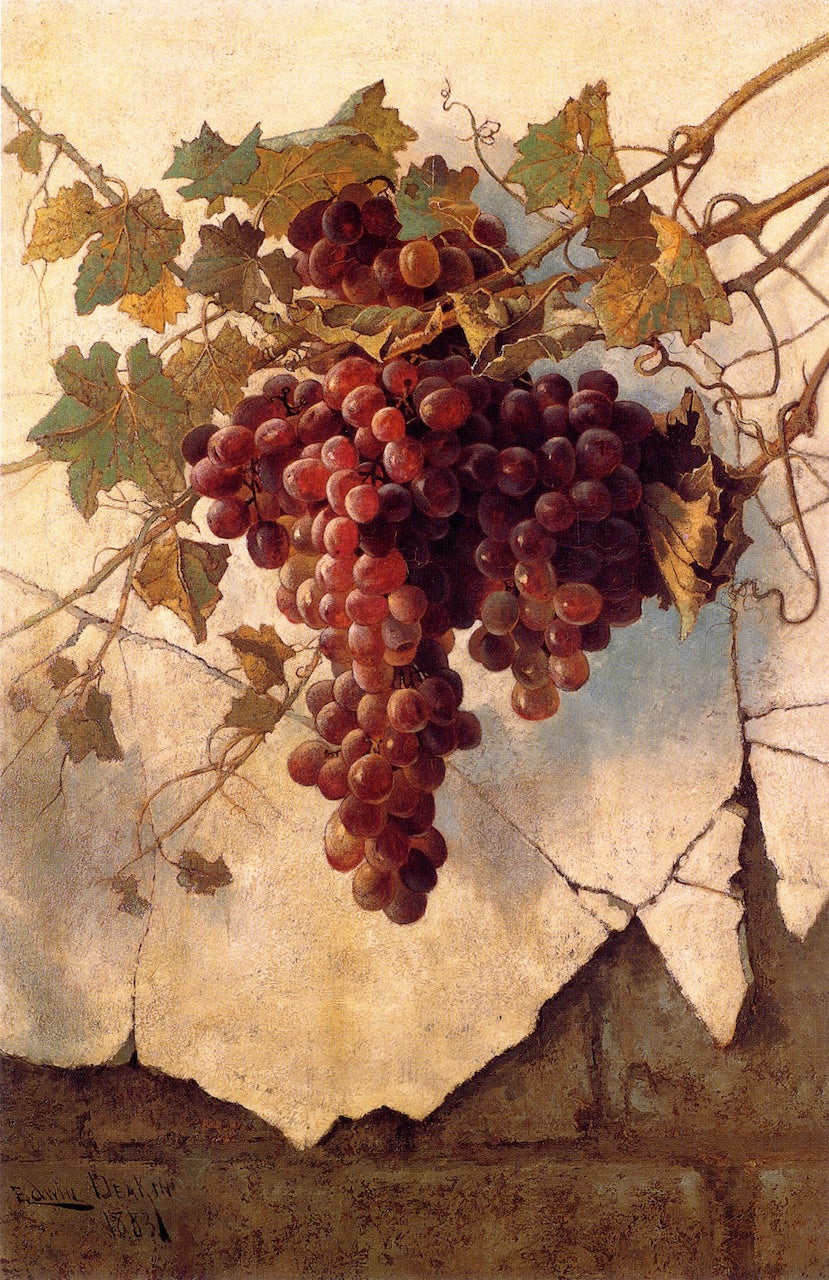 Grapes against a Mission Wall, vintage artwork by Edwin Deakin, 12x8" (A4) Poster