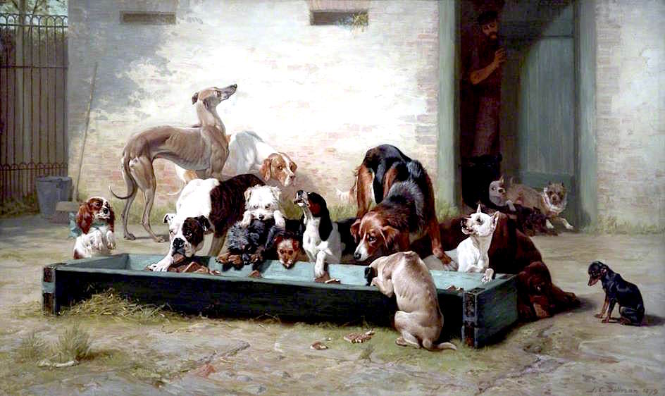 Table d'Hote at a Dogs' Home, vintage artwork by John Charles Dollman, 12x8" (A4) Poster