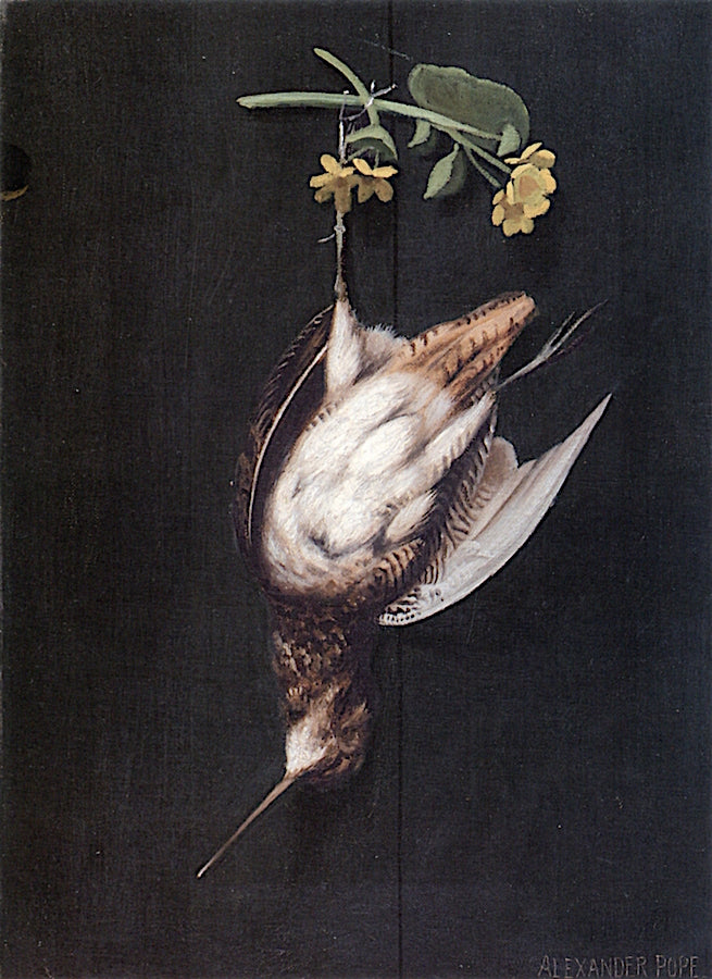 Hanging Woodcock with Flowers, vintage artwork by Alexander Pope, 12x8" (A4) Poster
