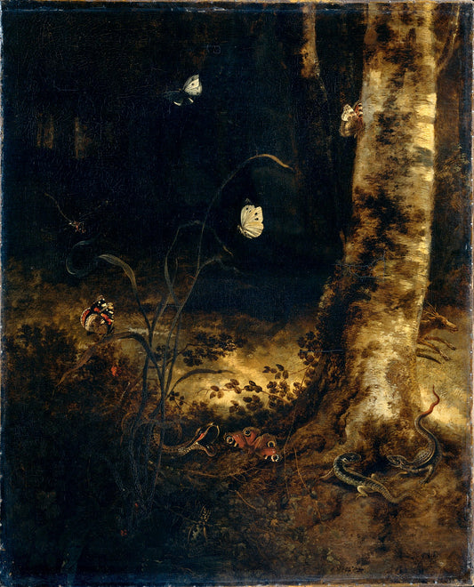 Forest floor still life with butterflies and reptiles, vintage artwork by Otto van Schrieck, 12x8" (A4) Poster