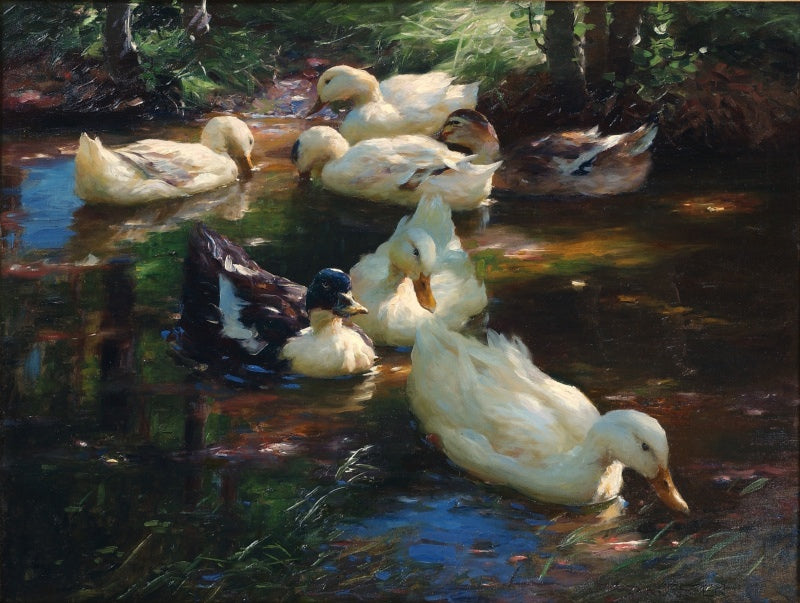 Seven ducks, vintage artwork by Alexander Koester, 12x8" (A4) Poster
