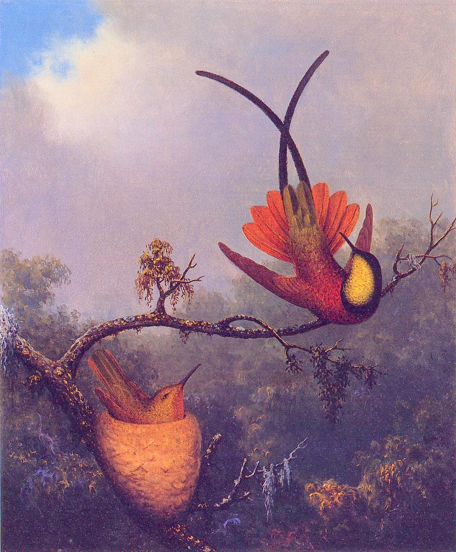 Crimson Topaz, vintage artwork by Martin Johnson Heade, A3 (16x12") Poster Print