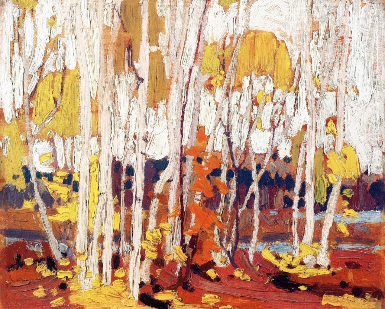 Autumn Birches by Tom Thomson,16x12(A3) Poster