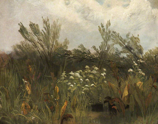 Study of Sorrel, Cow Parsley and Willow Saplings, vintage artwork by Peter de Wint, 12x8" (A4) Poster