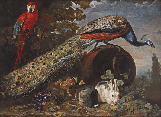 A Peacock, a Macaw and Rabbits in a Landscape, vintage artwork by David de Coninck, 12x8" (A4) Poster
