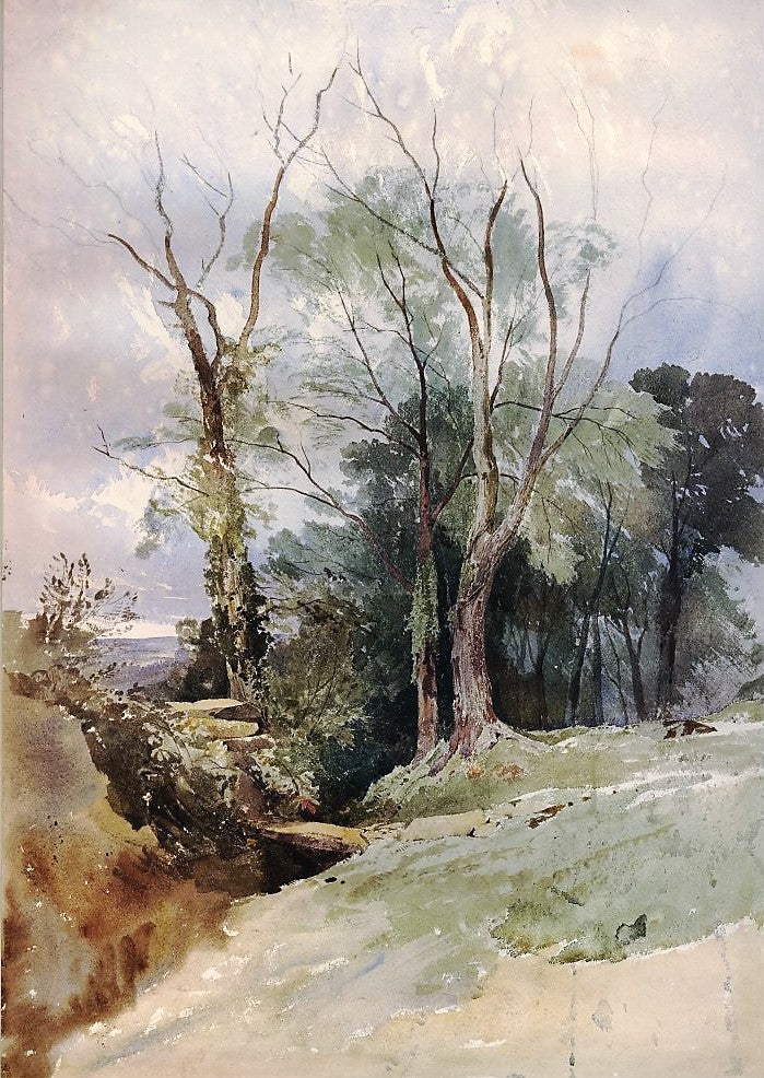 Ash Trees and Elms, vintage artwork by William James Müller, A3 (16x12") Poster Print