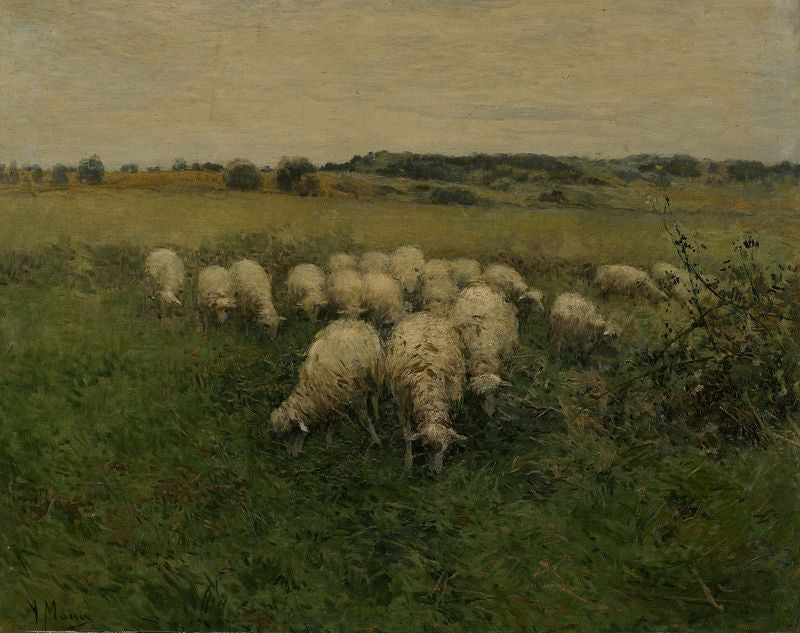 Sheep Grazing in an Open Field, vintage artwork by Anton Mauve, 12x8" (A4) Poster