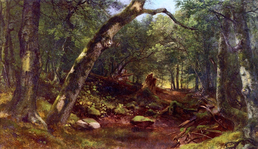 Artists' Lane after a Shower, vintage artwork by Asher Brown Durand, A3 (16x12") Poster Print