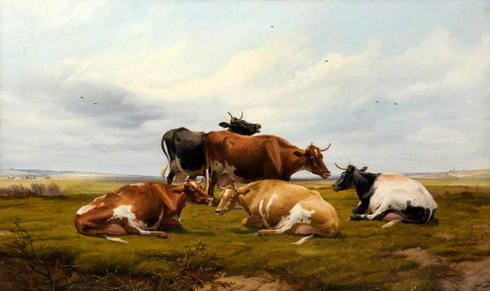 Five Cows in a Landscape, vintage artwork by Thomas Sidney Cooper, A3 (16x12
