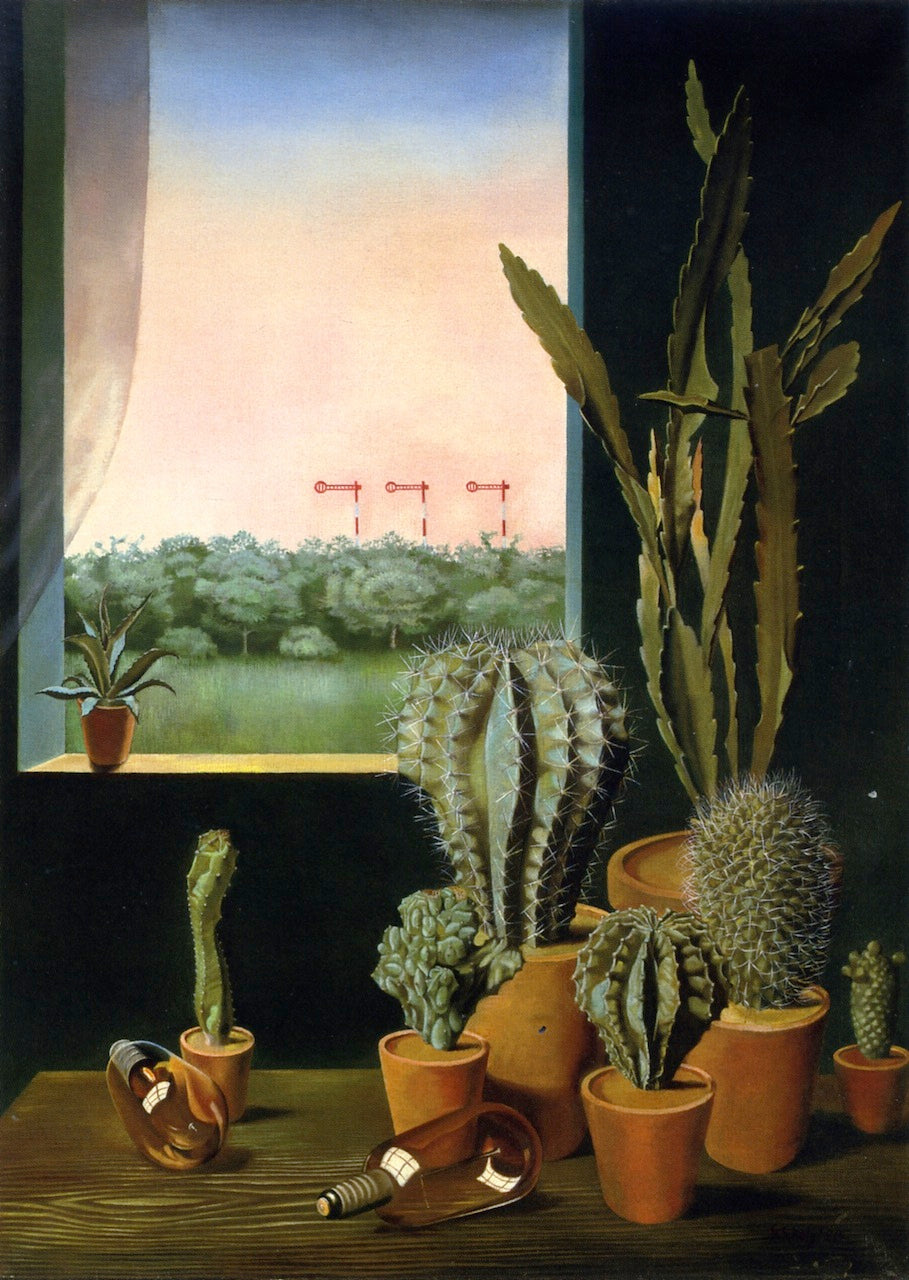 Cactus Still LIfe with Semapore by Georg Scholz,16x12(A3) Poster