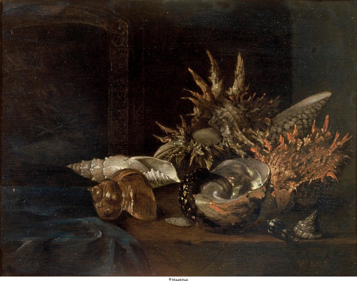 Still Life:  Shells, vintage artwork by Willem Kalf, 12x8" (A4) Poster