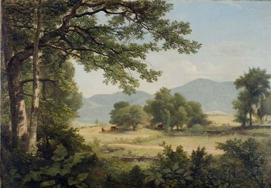 Catskill Meadows in Summer, vintage artwork by Asher Brown Durand, A3 (16x12") Poster Print