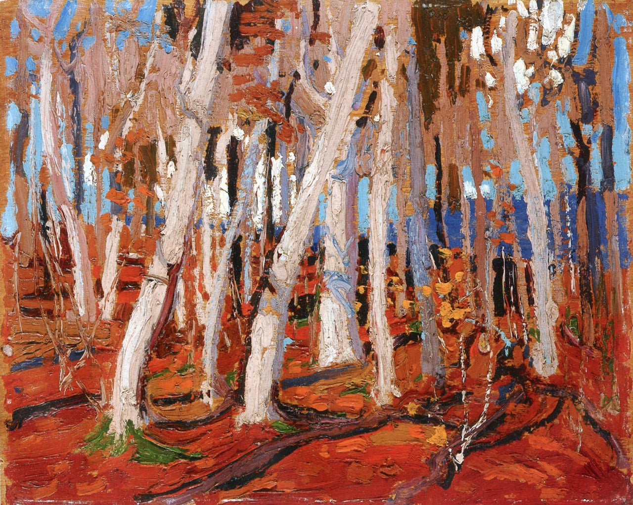 Maple Woods, Bare Trunks, vintage artwork by Tom Thomson, 12x8" (A4) Poster