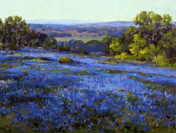 ts, Late Afternoon, North of San Antonio by Julian Onderdonk,16x12(A3) Poster