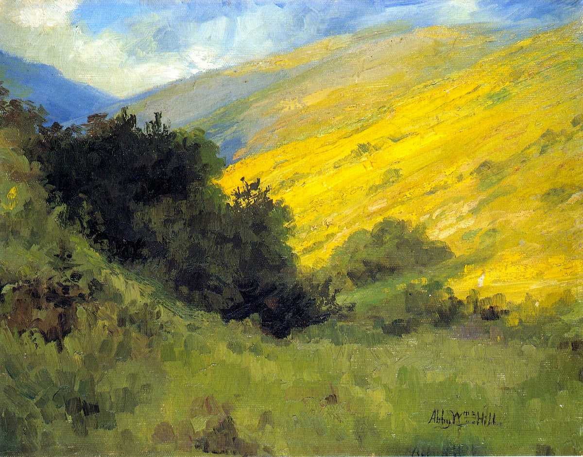 Niguel Canyon: Wild Mustard by Abby Williams Hill,A3(16x12")Poster