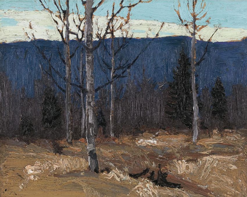 Hillside on Big Cauchon lake - Algonquin Park, vintage artwork by Tom Thomson, 12x8" (A4) Poster