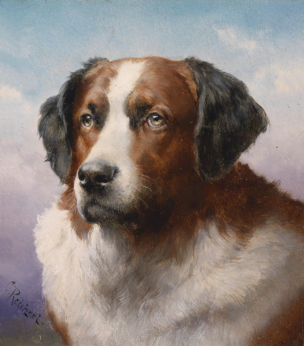St Bernhard, vintage artwork by Carl Reichert, 12x8" (A4) Poster