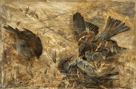 House Sparrows, vintage artwork by Bruno Liljefors, 12x8" (A4) Poster