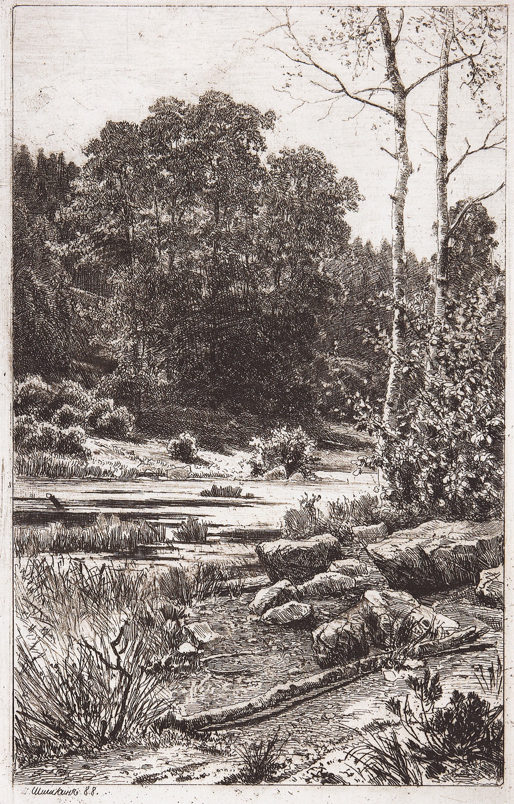 Dry Birch Trees, vintage artwork by Ivan Ivanovich Shishkin, 12x8" (A4) Poster