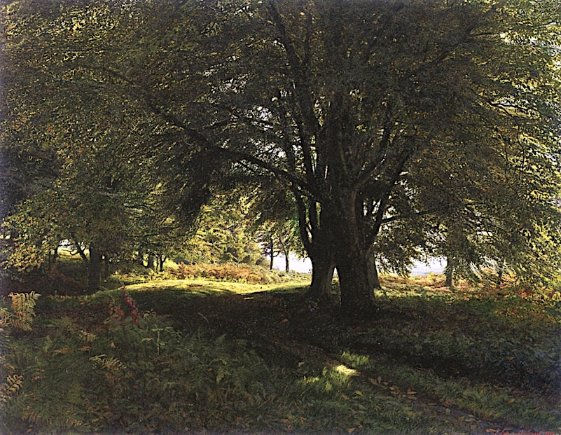 A Young Boy Resting in a Wooded Glade, vintage artwork by Edmund George Warren, 12x8" (A4) Poster