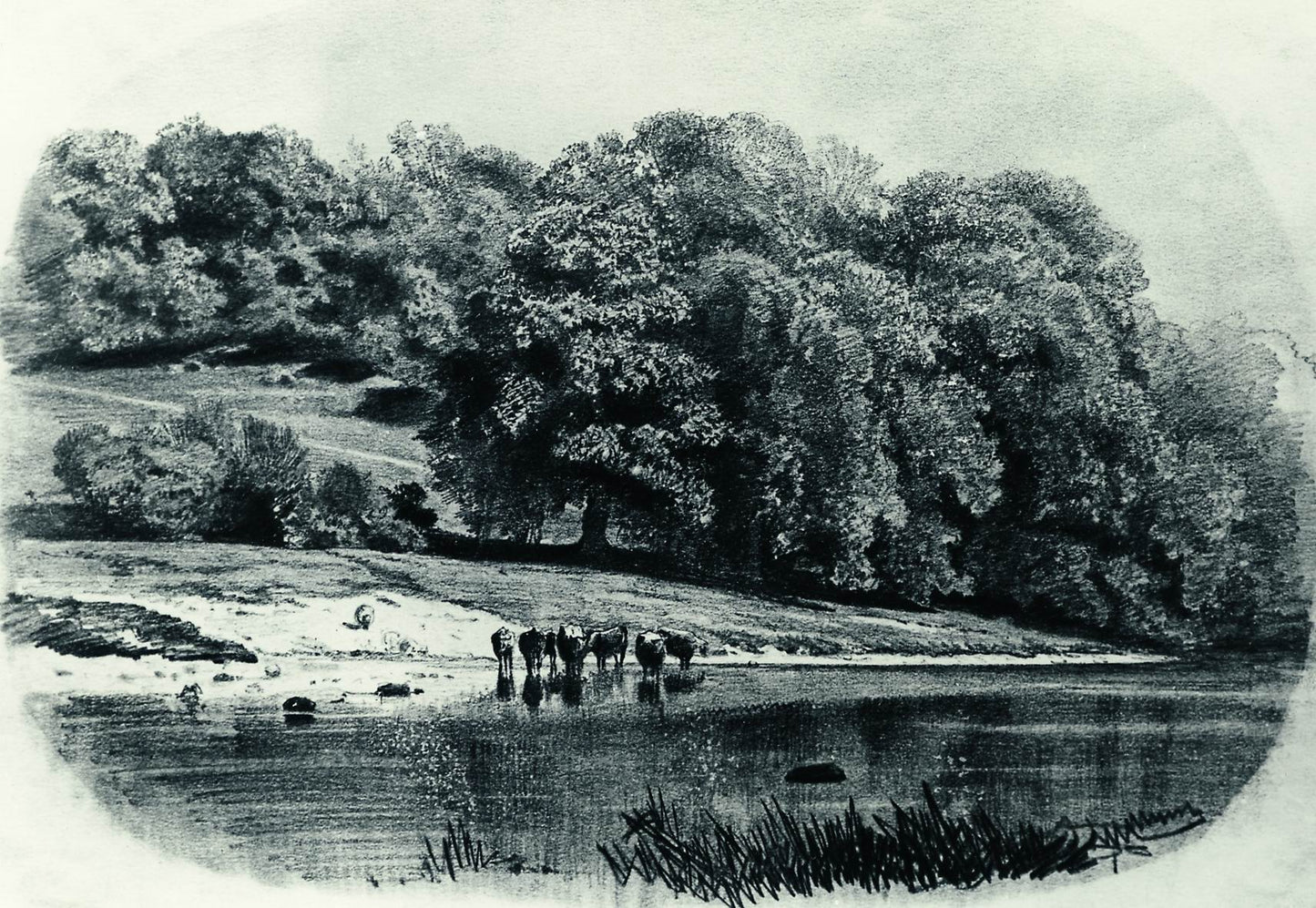 Cows by  the River, vintage artwork by Ivan Ivanovich Shishkin, 12x8" (A4) Poster