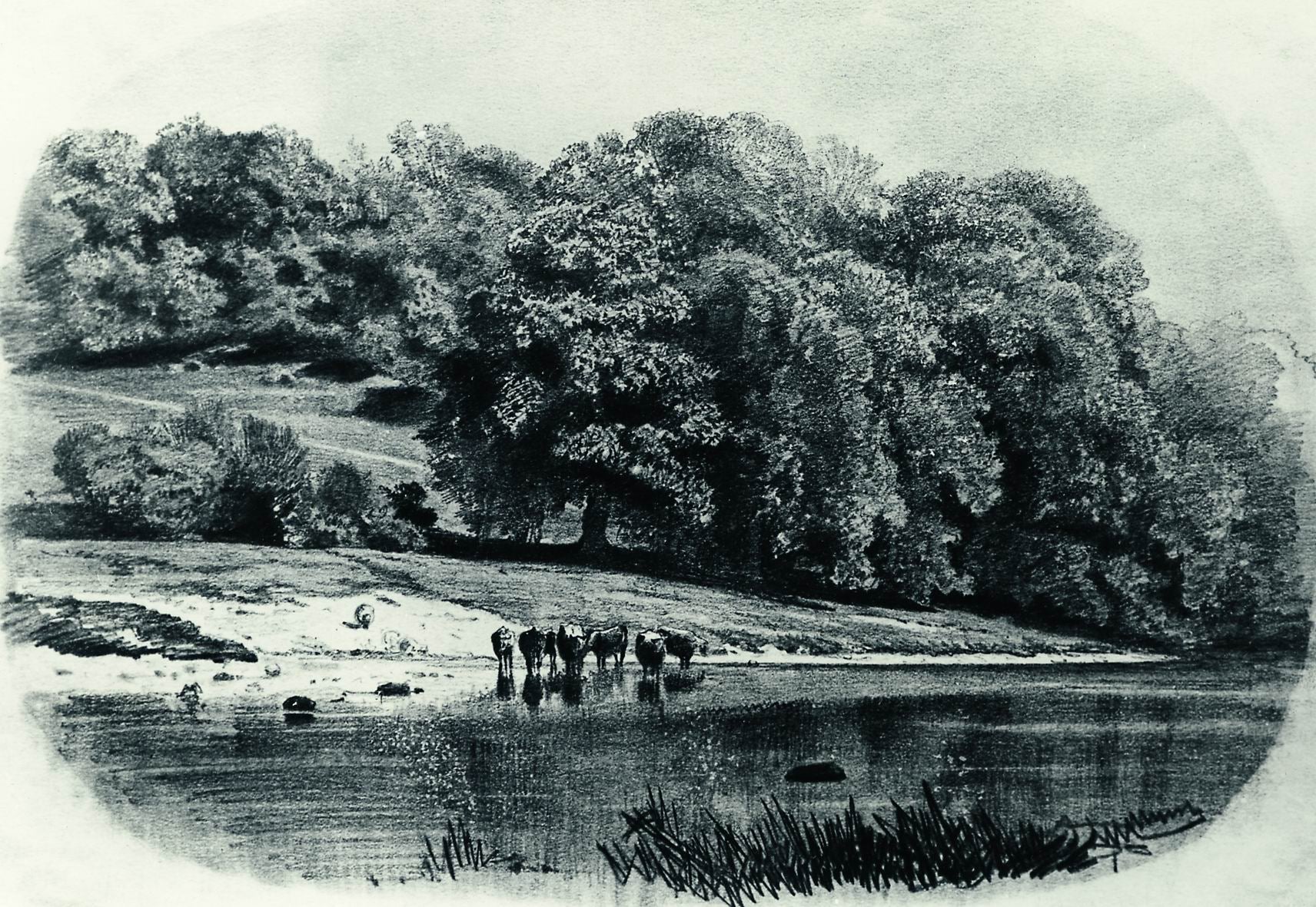 Cows by  the River, vintage artwork by Ivan Ivanovich Shishkin, 12x8" (A4) Poster