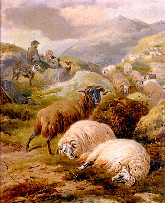 The Highland Flock, vintage artwork by Thomas Sidney Cooper, A3 (16x12") Poster Print