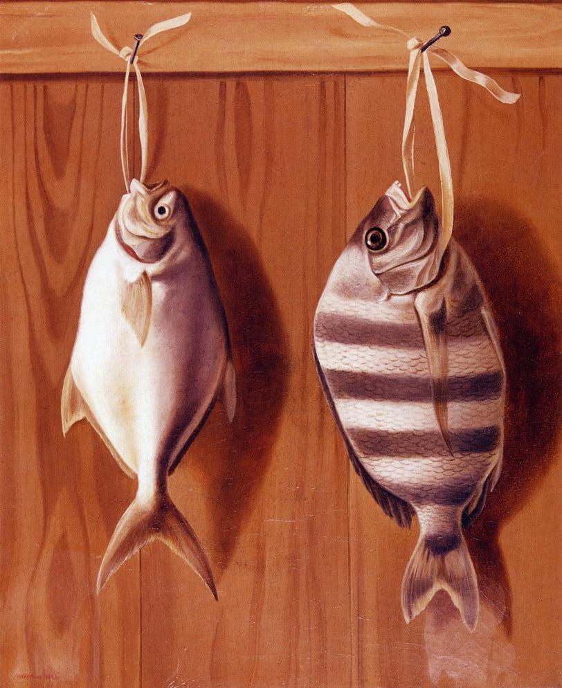 Dollar Fish and Sheephead, vintage artwork by William Aiken Walker, 12x8" (A4) Poster