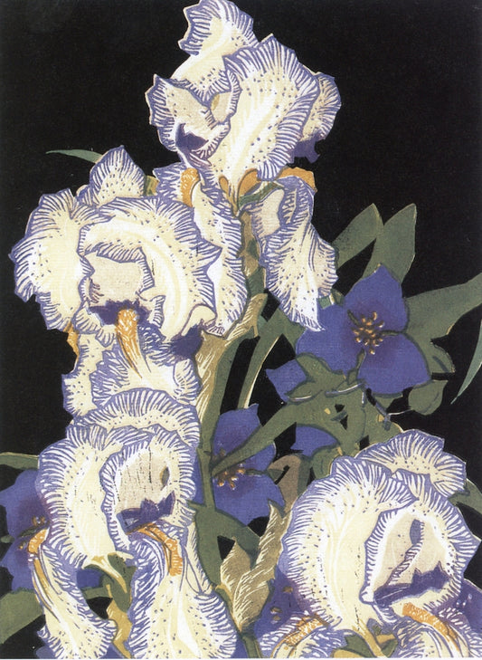 Pencilled Irises by Franklin Carmichael,16x12(A3) Poster