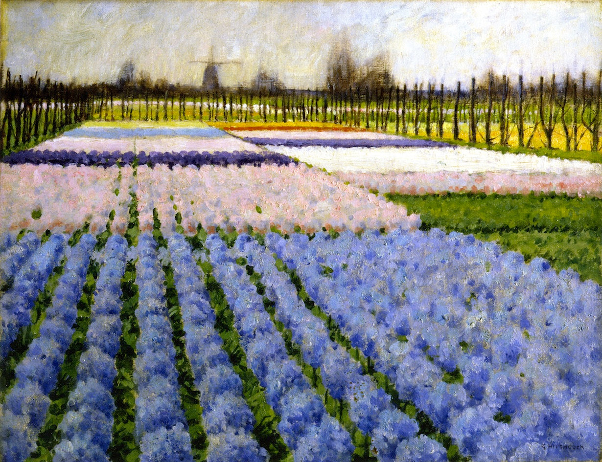 Holland, Hyacinth Garden, vintage artwork by George Hitchcock, 12x8" (A4) Poster