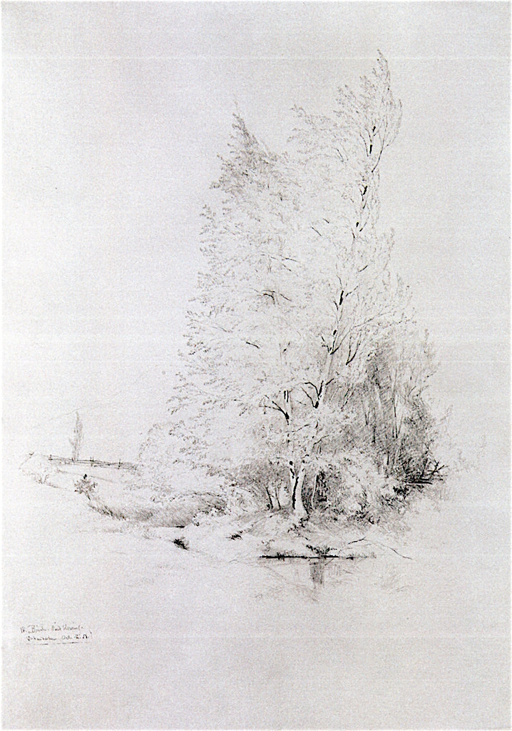 Trees at Shandeken, vintage artwork by Jervis McEntee, 12x8" (A4) Poster